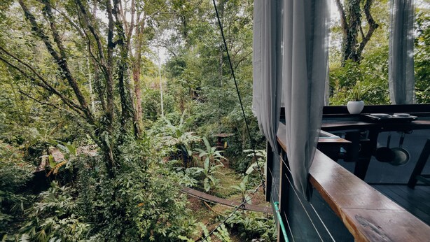 A view from a window overlooking a dense forest with a wooden deck and a small table with a cup and a book. - Morpho - adventurous Treehouse with amazing 360 view with pool and wifi access (Limón)
