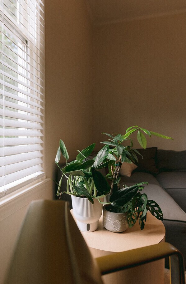 Familville mill airbnb 65