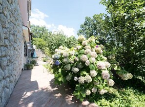 Overnatningsstedets område