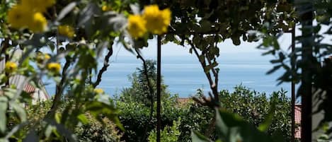 Een tuin met gele bloemen en uitzicht op zee.