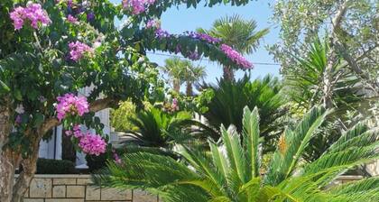 Apartments White House - Studio Apartment with Terrace and Sea View 5