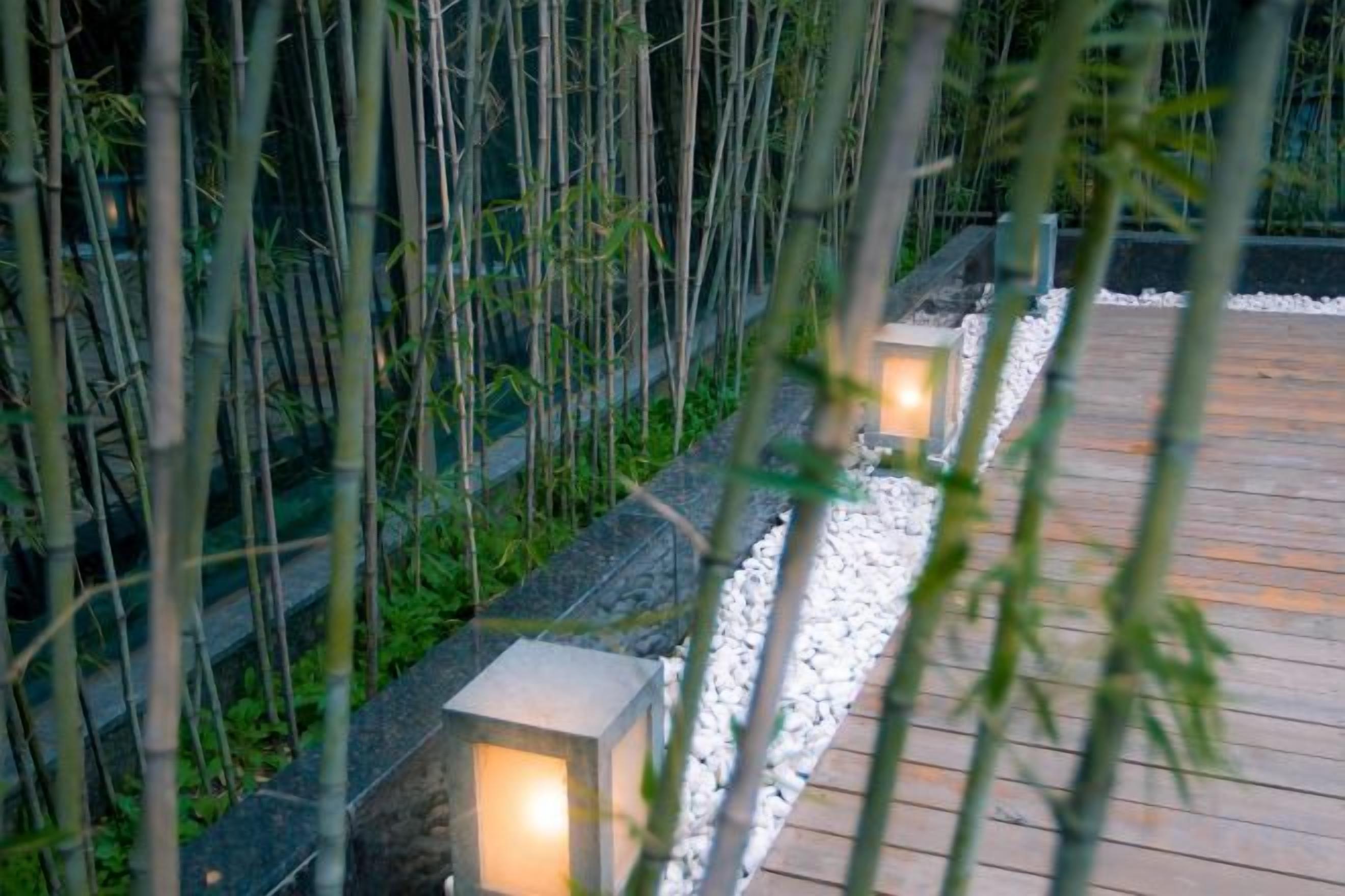 A pathway with wooden decking and stone edging, flanked by bamboo plants and illuminated lanterns.