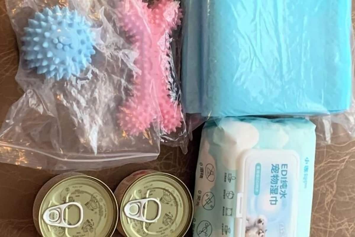 Una busta di plastica contenente un oggetto blu e rosa con texture, due lattine di metallo e un pacchetto di fazzoletti bianchi.