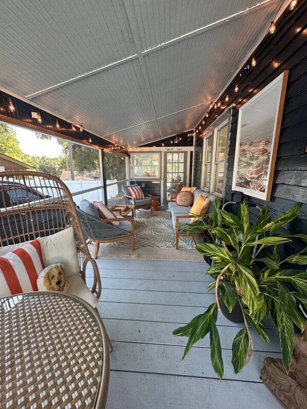 A covered outdoor seating area with wicker furniture, a large potted plant, and string lights. - Casita Encanta-Dora, Steps to town, Pet-Friendly (Mount Dora)