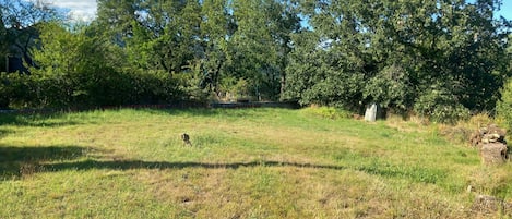 Property grounds