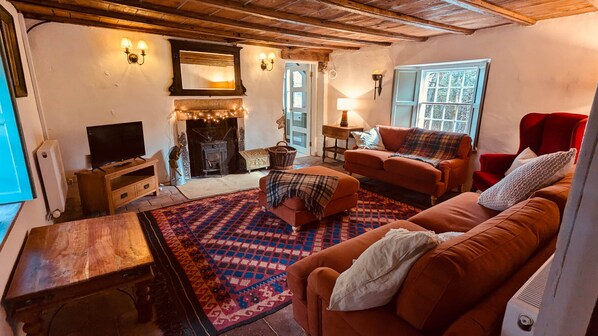 Smart TV, fireplace, books