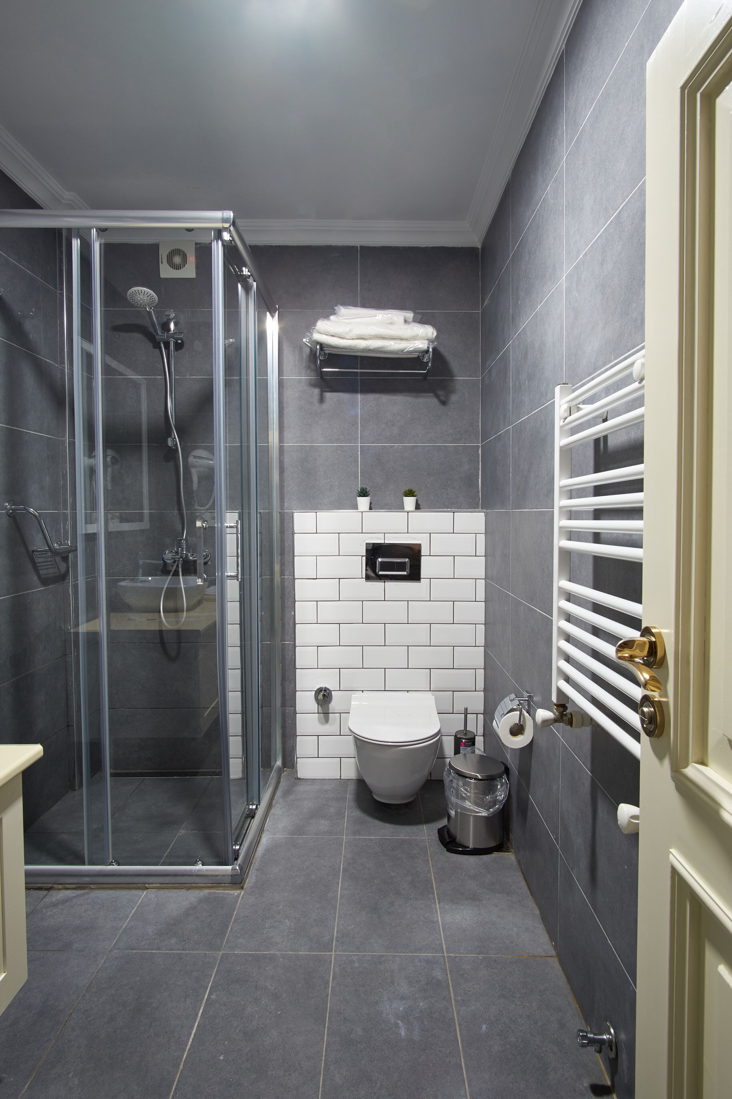 Shower, hair dryer, bidet, towels