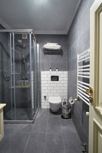 Modern Furnished Historical House