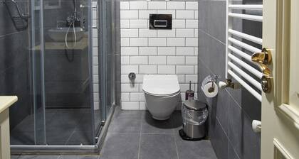 Modern Furnished Historical House