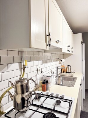 Fridge, microwave, stovetop, dishwasher - Modern Furnished Historical House (İstanbul)