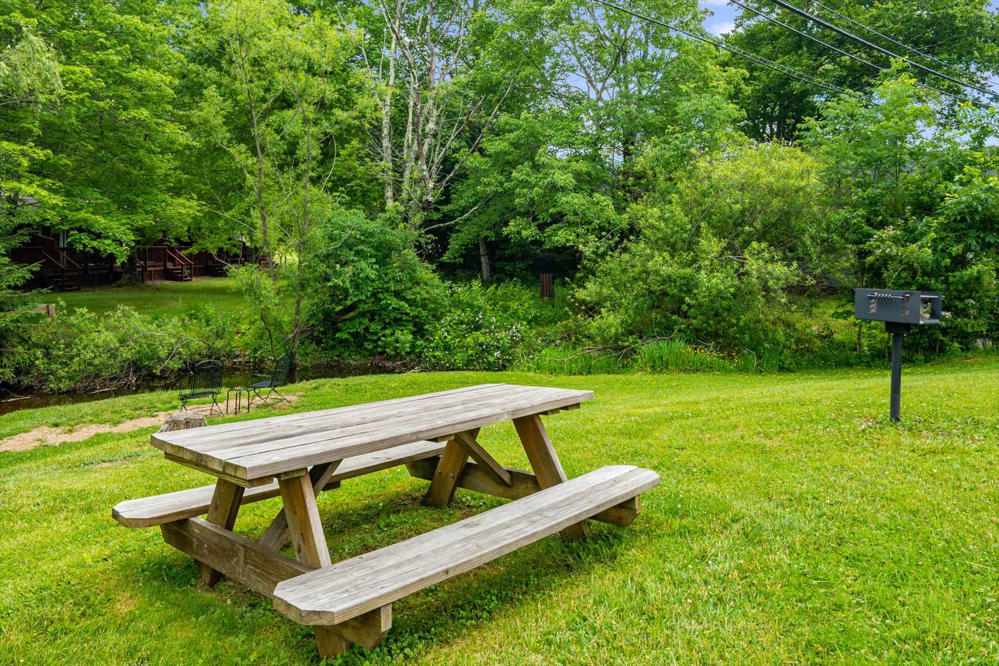 Une table de pique-nique en bois, installée dans un espace verdoyant, avec des arbres et un petit ruisseau en arrière-plan.