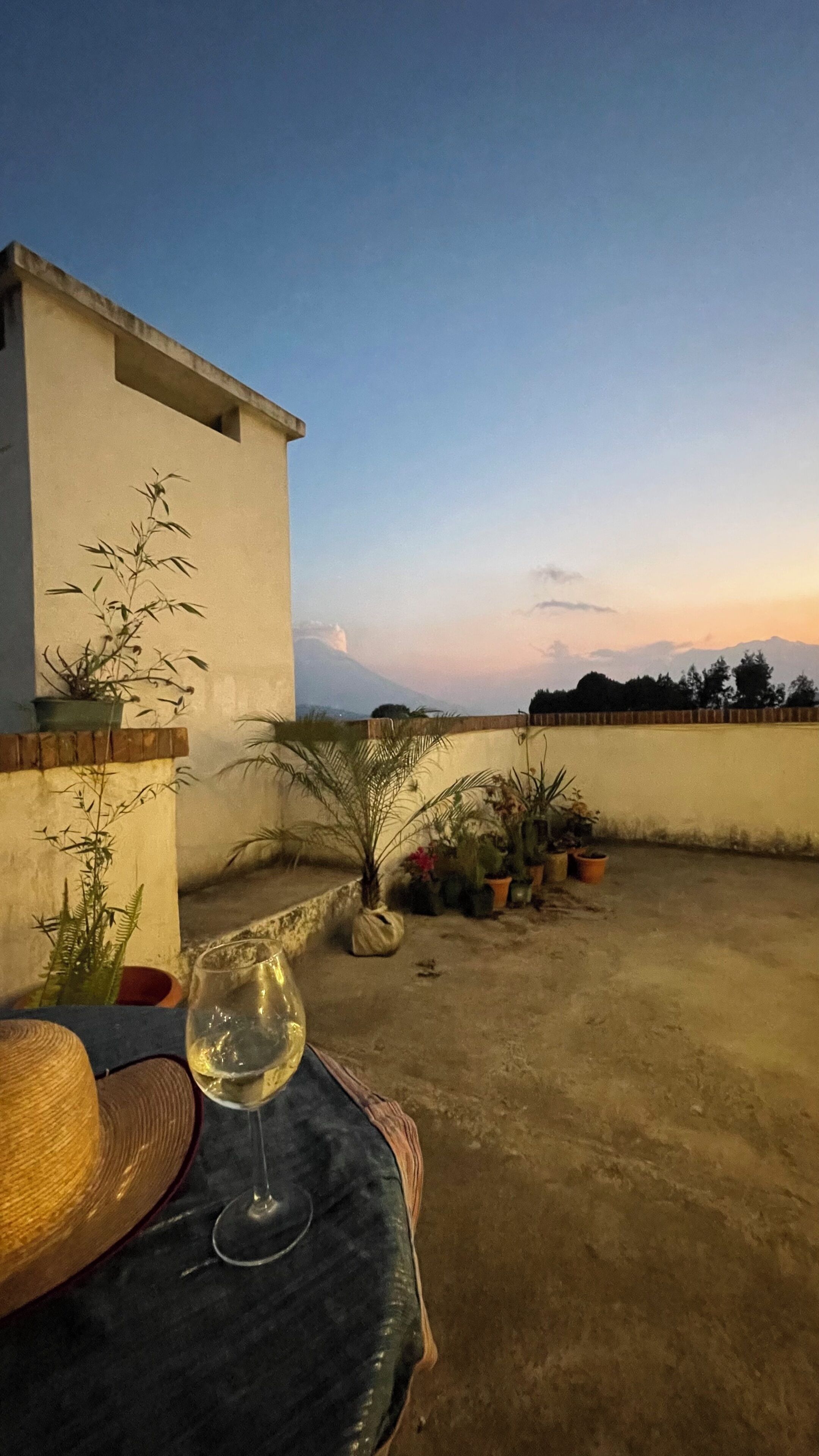 Une terrasse sur le toit, avec une table, un verre de vin blanc et des plantes en pot.
