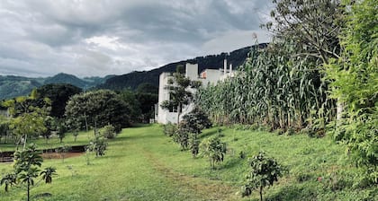 Apartment on a spectacular farm. We are located 10 min from Antigua Guatemala.