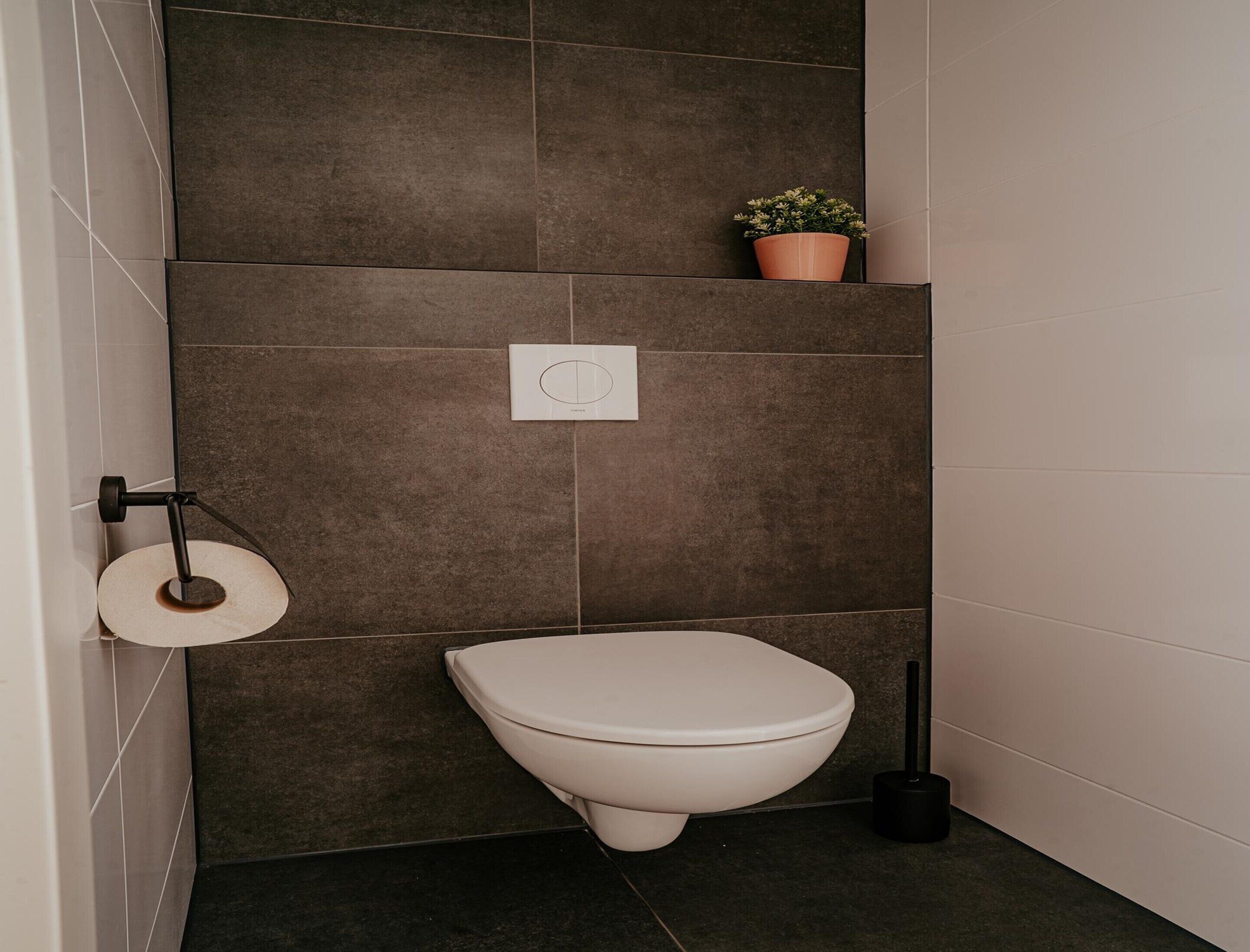 Un baño moderno con inodoro, dispensador de papel higiénico, botón de descarga y una planta en maceta en la pared.