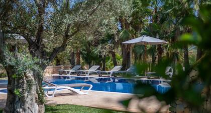 Villa 'Fina' with Private Pool, Wi-Fi and Air Conditioning