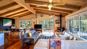 Smart TV, chimenea y libros 