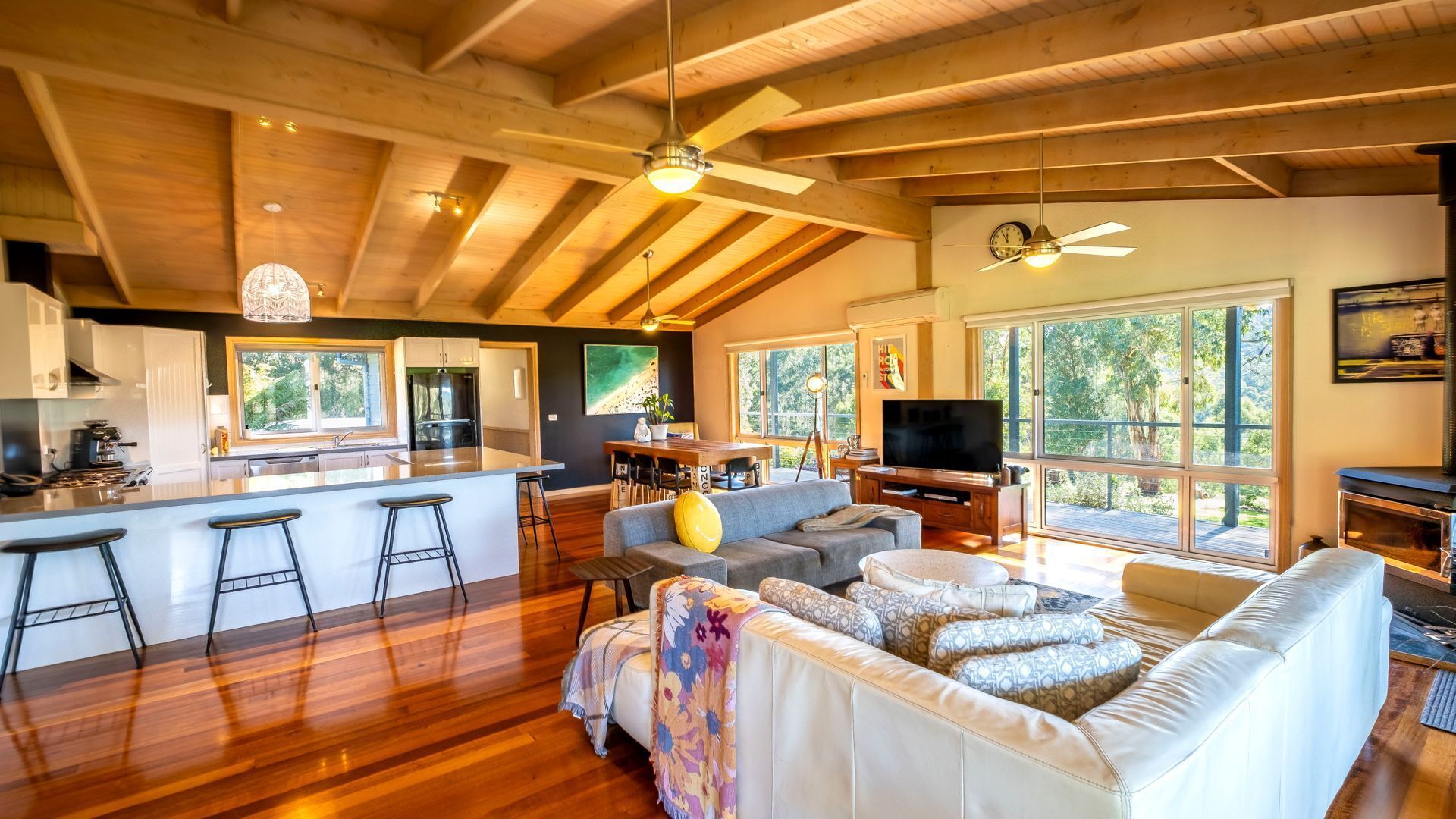 Televisión, chimenea y libros 