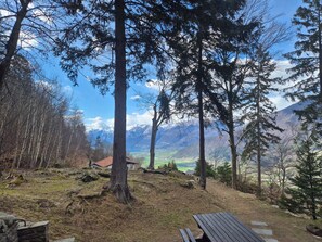 Un área boscosa con una mesa de picnic y construcciones de piedra.