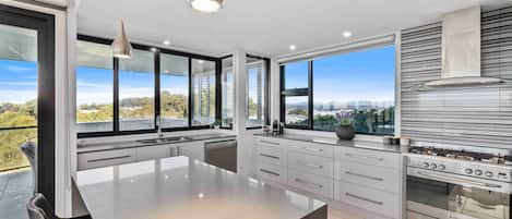 Fridge, oven, stovetop, dishwasher