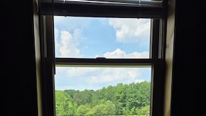 A window with a view of a green field and a forested hill. - Escape to Nature – 2 Bdrm Home on 13 Private Acres near ATV, SSRT trails and PSU (Munson)