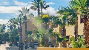 Une table avec une assiette de fruits et une plante en pot, donnant sur une plage bordée de palmiers et sur laquelle on aperçoit un bâtiment au loin.