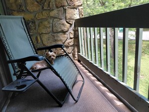 Property grounds -  Riverfront Sweet Serenity in Fabulous Gatlinburg; 
Waterfall; Fireplace; Spa  (Gatlinburg)