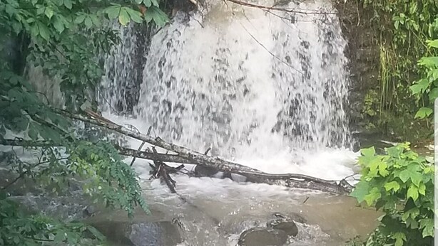 Una cascada se precipita sobre rocas, rodeada de exuberante vegetación.