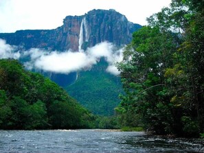A river with a waterfall in the background, surrounded by dense green forest. - Campamento Canaima - All Inclusive (Gran Sabana)