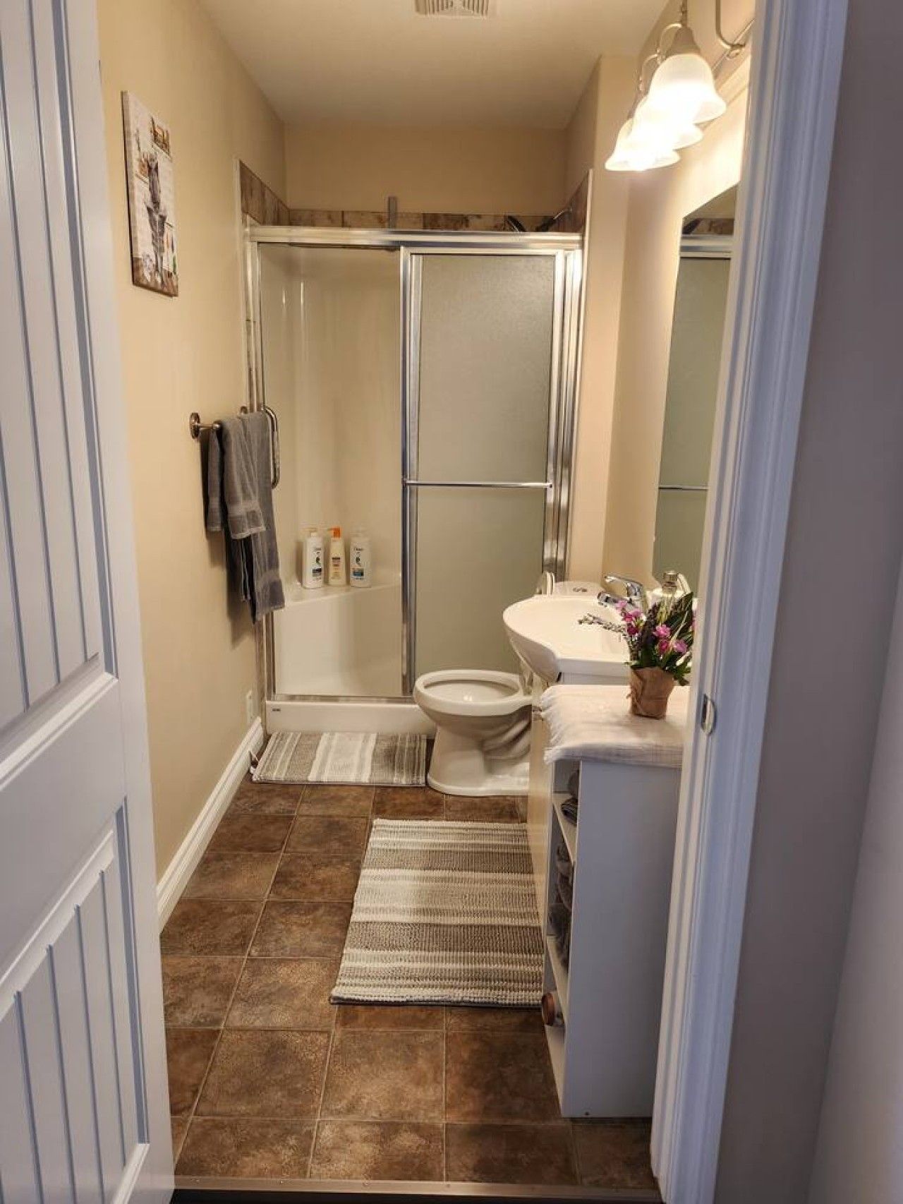 Une salle de bain avec une douche à parois de verre, des toilettes, un lavabo avec un miroir et une petite plante en pot.