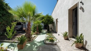 Une petite cour intérieure agrémentée de plantes en pot, d’un palmier et d’un bâtiment doté d’une porte et d’une fenêtre.