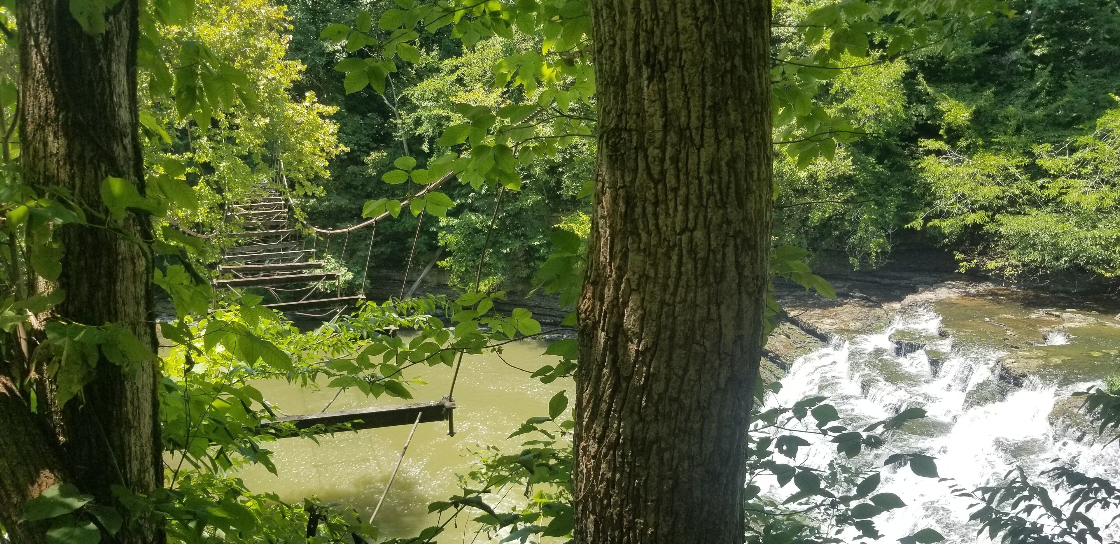 A wooden bridge over a river surrounded by dense green foliage.