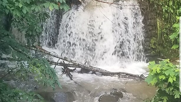 Una cascada que se precipita sobre rocas en un entorno natural, rodeada de vegetación exuberante.