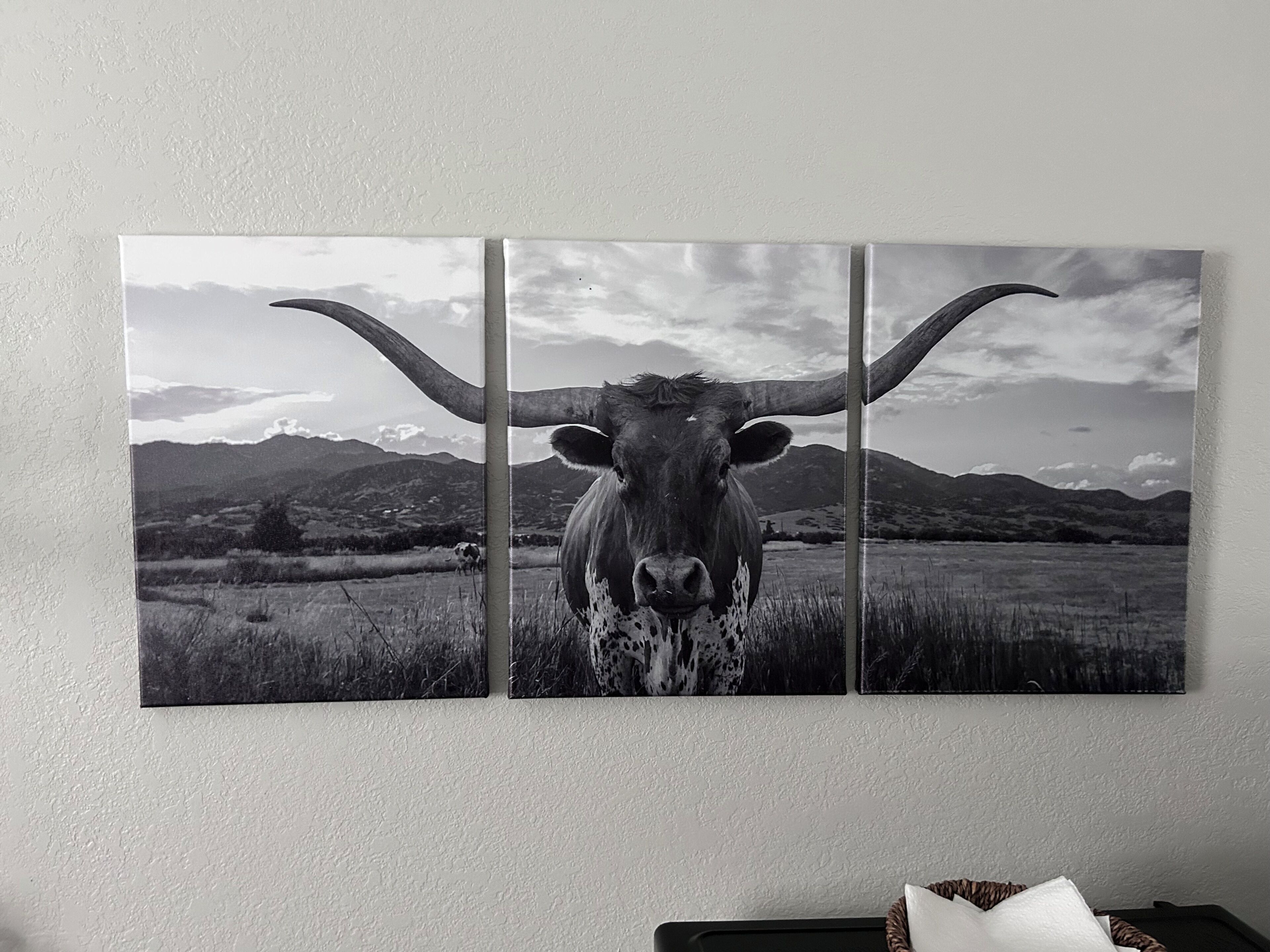Obra de arte en tres paneles que muestra un toro en un campo con montañas al fondo.