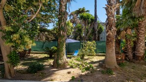 Ein Garten mit Palmen, einem kleinen Baum und einem blauen Stuhl.