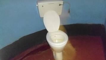 Toallas, jabón, papel de baño