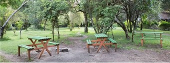 Phenomenal 1-bedroom cabin @Miti-Mingi Eco Camp Masai Mara