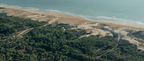Vista aérea de una zona costera con denso bosque, una playa de arena y una vista despejada del océano.