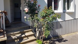A residential building with a staircase leading to an entrance, a window with curtains, and a rose bush in the foreground.