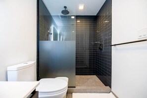 Shower, soap, shampoo, toilet paper