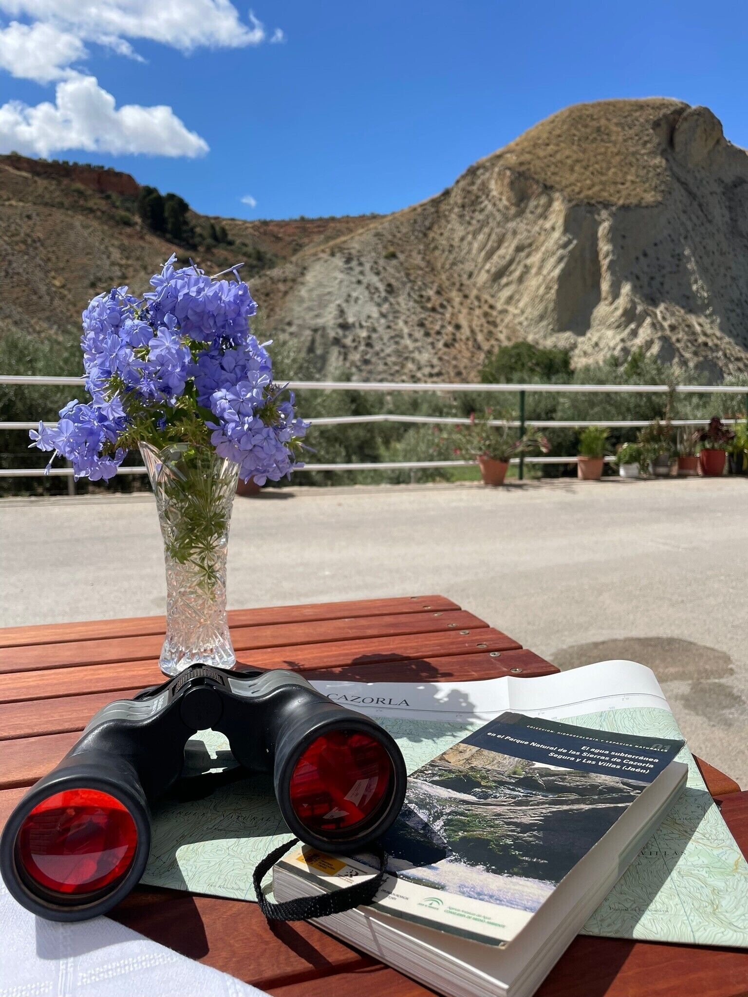 Une table en bois sur laquelle se trouvent un livre, des jumelles et un vase de fleurs.