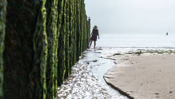 Pemandangan dari properti