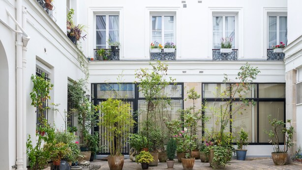 A courtyard with potted plants and a building with large windows.