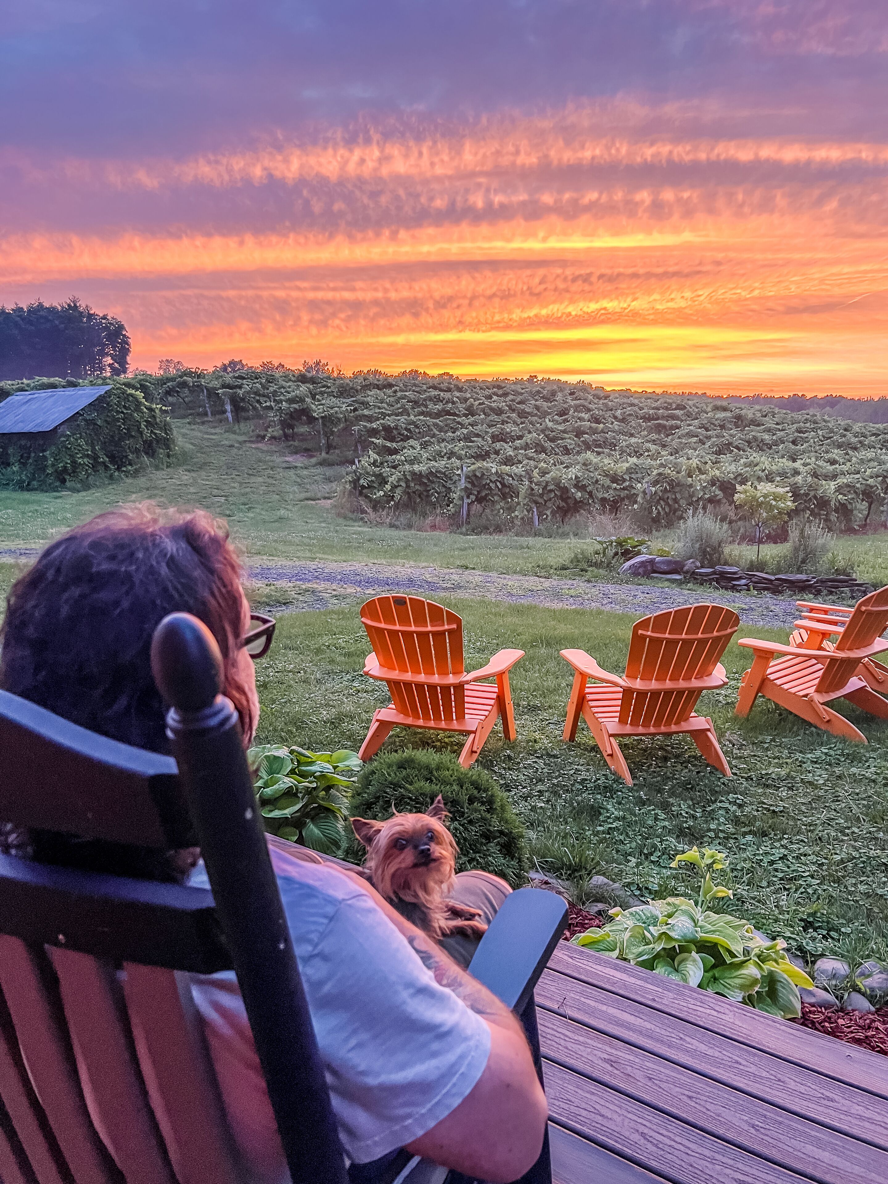 FLX Vineyard Cottage