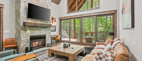 Smart TV, fireplace, video games, music library