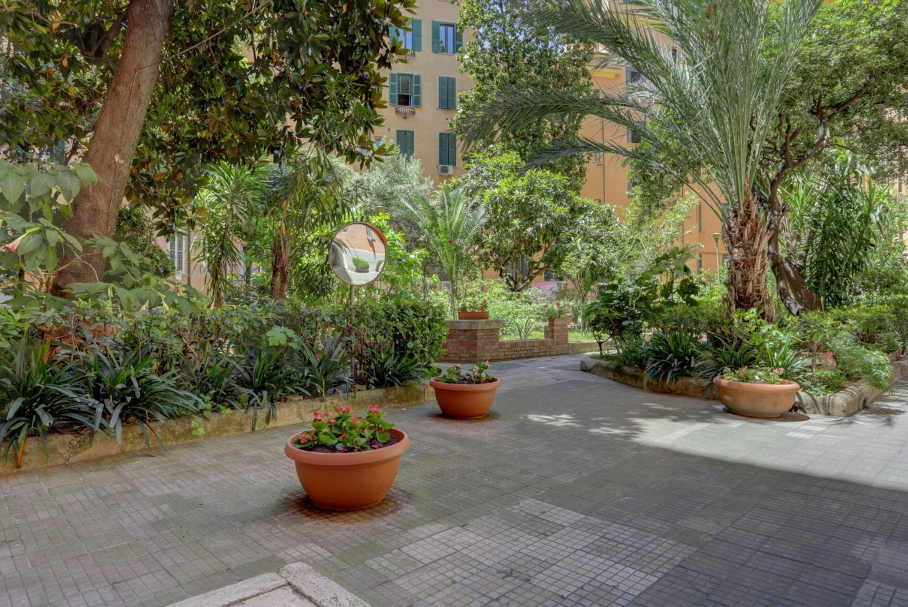 A courtyard with potted plants and a pathway.