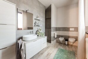 Shower, hair dryer, bidet, towels