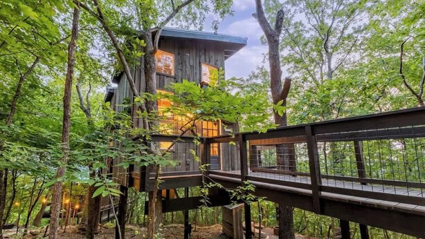 Una casa en un árbol con fachada y terraza de madera, y vistas del bosque circundante.
