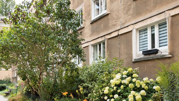 A bench in a garden area with a pathway, surrounded by various plants and flowers. - Nowolipki Standard Studio (Warszawa)