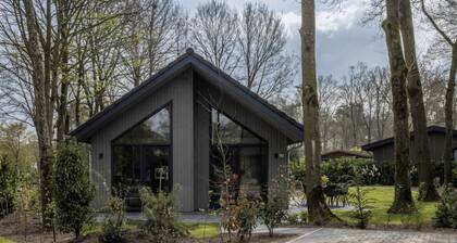 Eco Villa Near Forest in Netherlands