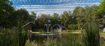 Eco Villa Near Forest in Netherlands